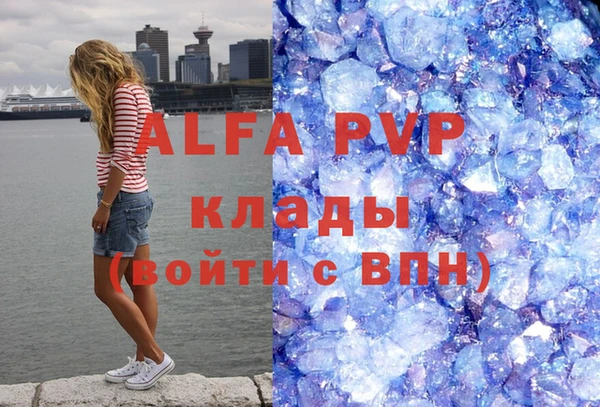 apvp Алзамай