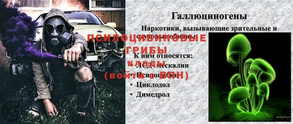 ПСИЛОЦИБИНОВЫЕ ГРИБЫ Абдулино