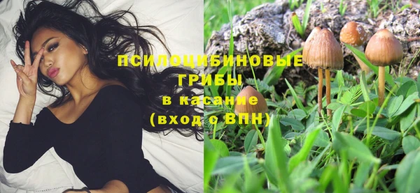 не бодяженный Алексин