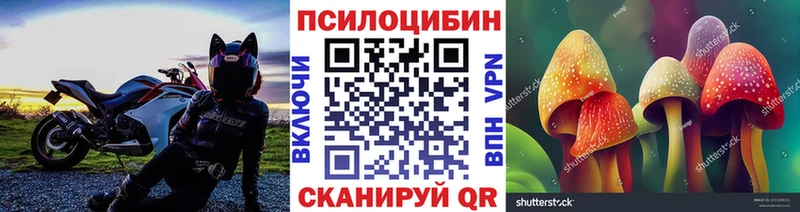 купить наркотики цена  гидра сайт  Псилоцибиновые грибы Magic Shrooms  Бронницы 