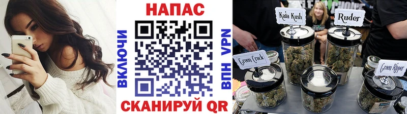 где продают   Бронницы  Бошки Шишки план 